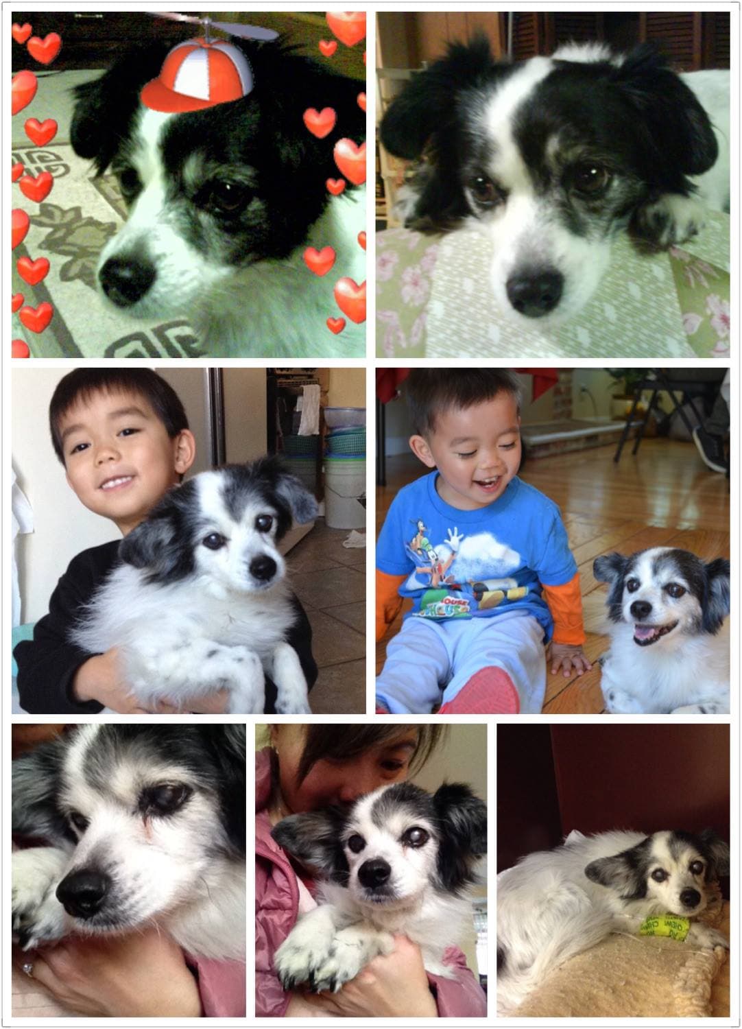 Lucky in his senior years