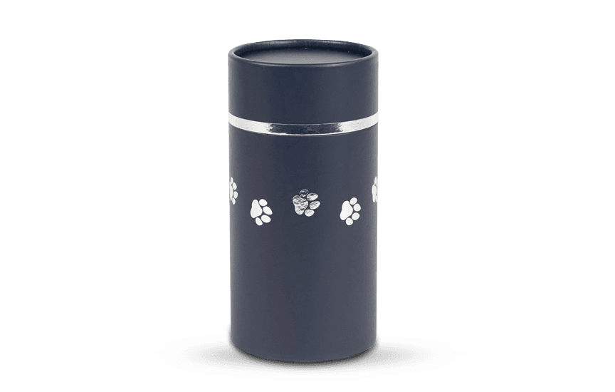 Blue Scattering Tube with Paw Prints